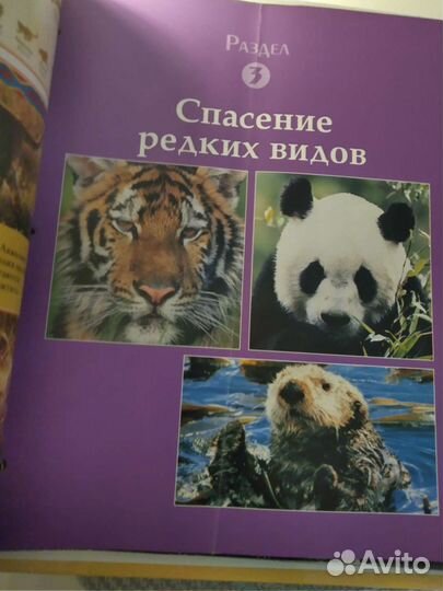 Deacostini, пособие журналы