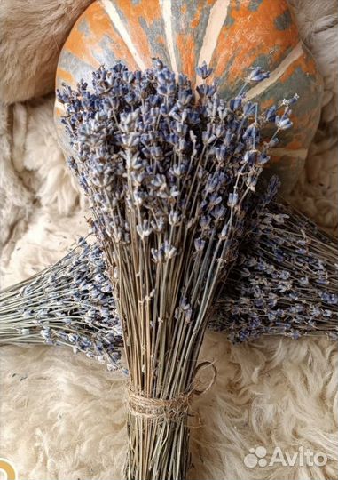 Букет лаванды