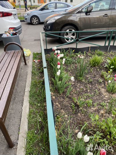 Детские рисунки и игрушки