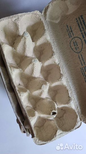 Яичные лотки гофры для яиц