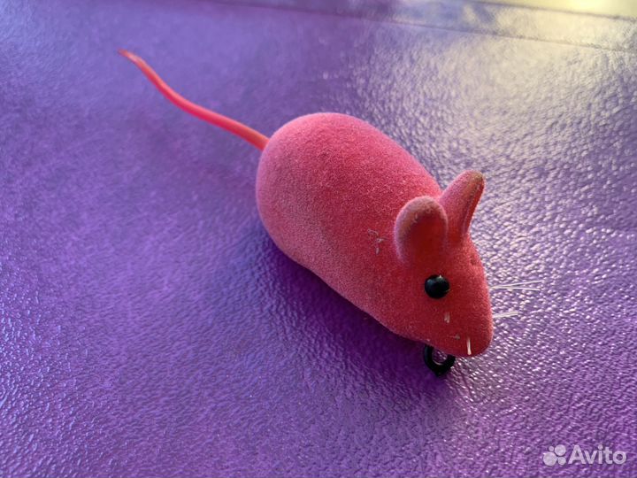 Мышка для кошки Игрушки для котят бу для животных