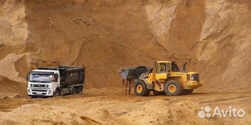 Песок тараканом