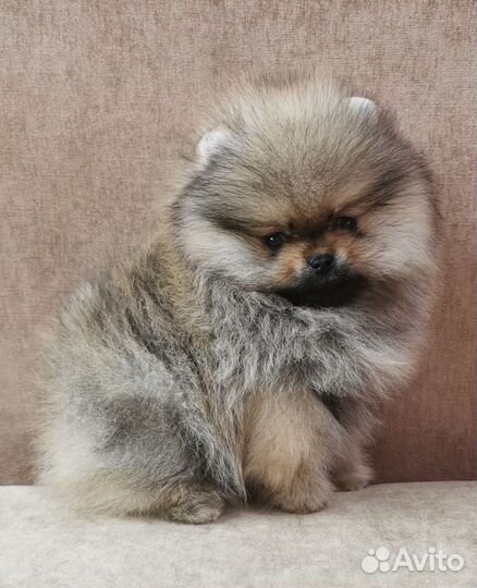 Микро мальчик