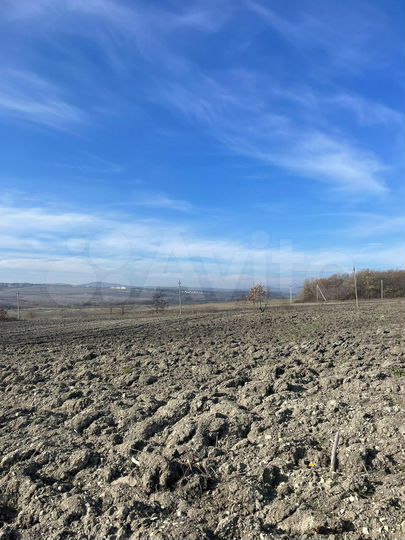 Участок 10 га (СНТ, ДНП)