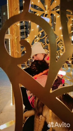 Выгул собак