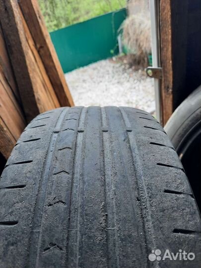 Continental ContiPremiumContact 5 215/60 R16 95H