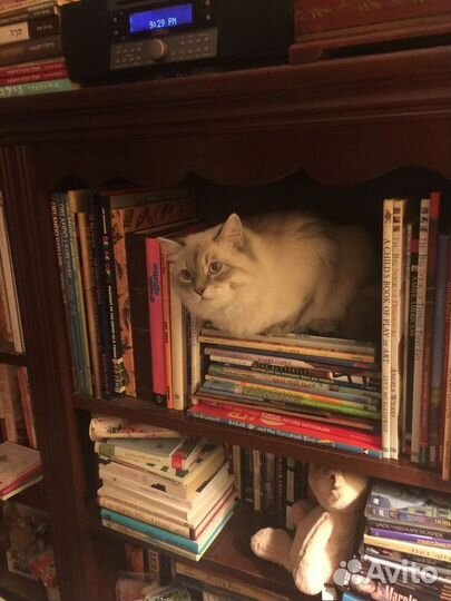 Современные книги