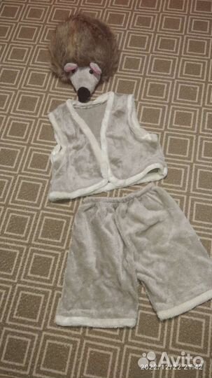 Ёжик на 4-7 лет прокат