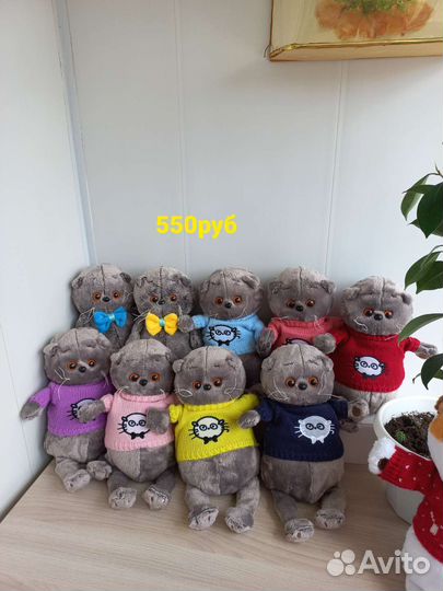 Кот басик, кошка лили в кофточке