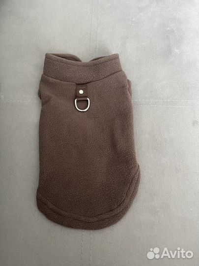 Одежда для собак