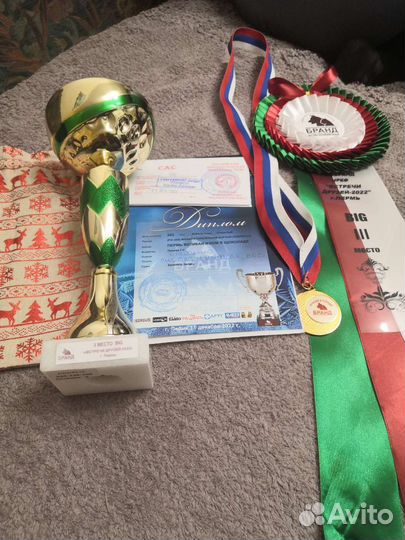 Собака левретка