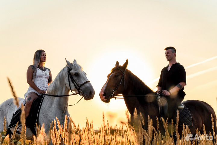 Фотосессия с лошадьми