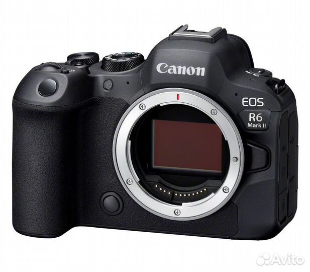 Беззеркальный фотоаппарат Canon EOS R6 Mark II Body