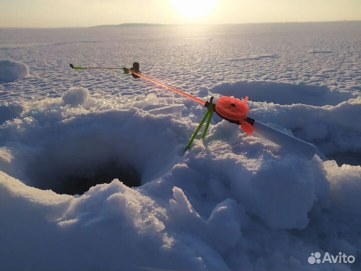 Электронный кивок Щербакова 