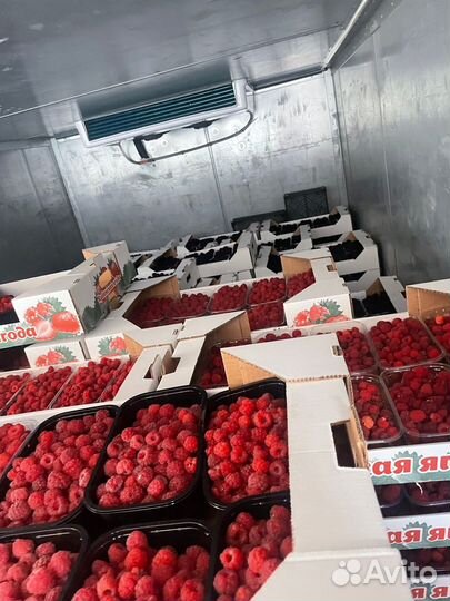 Грузоперевозки Газель рефрижератор 4 метра