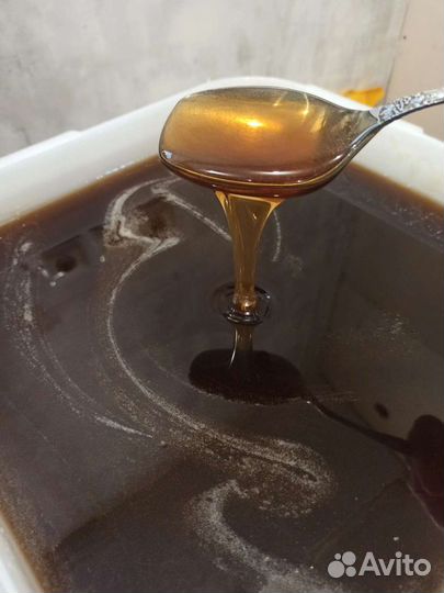 Мёд гречиха-разнотравье опт