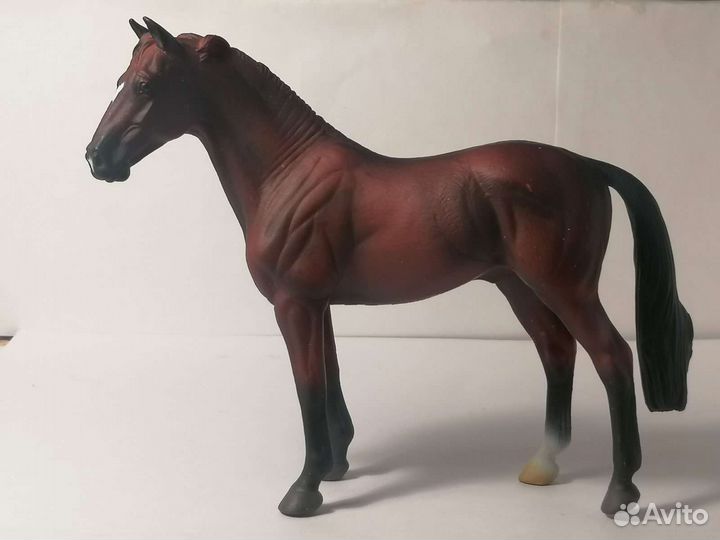 Лошади collecta