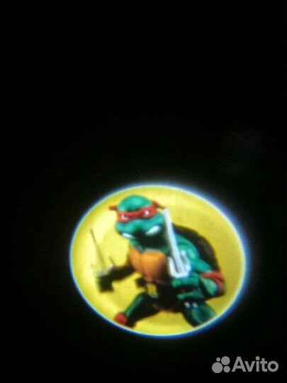 Черепашка-ниндзя