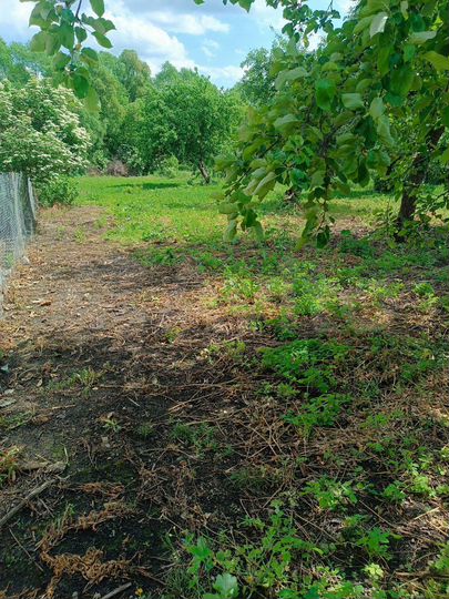 Участок 9 сот. (ИЖС)