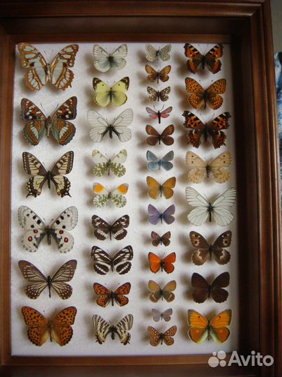 Панно с бабочками