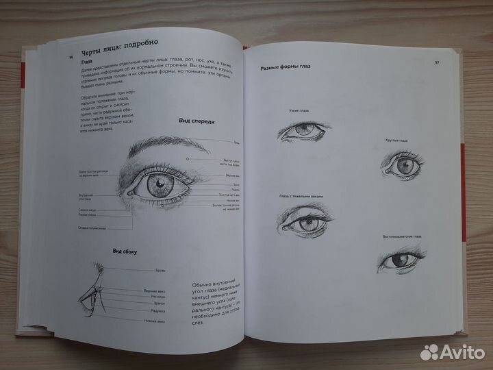 Книги для художников