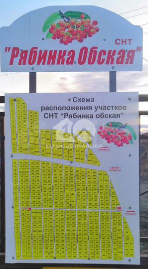 Участок 12 сот. (СНТ, ДНП)