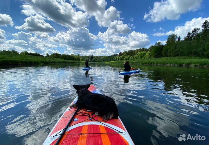 Новый сапборд кои - SUP board Koi 11'6