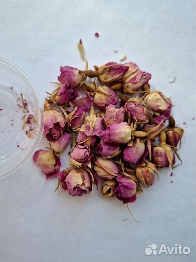 Травы сухоцветы и цветы для чая и декора