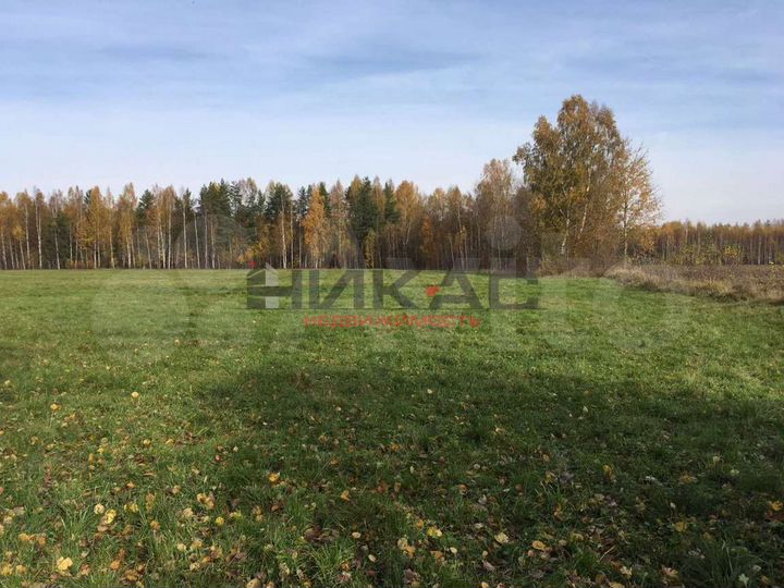 Участок 2,5 га (личное подсобное хозяйство (лпх))