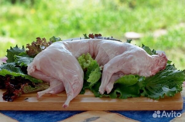 Мясо кролика
