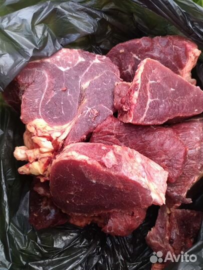 Мясо говядина для собак