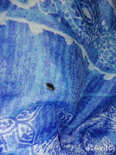 Дезинфекция