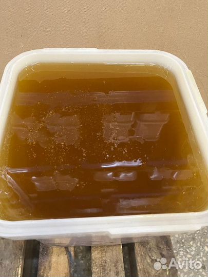 Мед разнотравье с Алтая Оптом