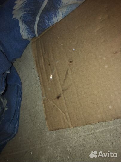 Лобовое стекло haval jolion оригинал