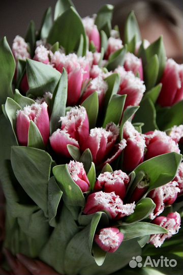 Тюльпаны махровые букет