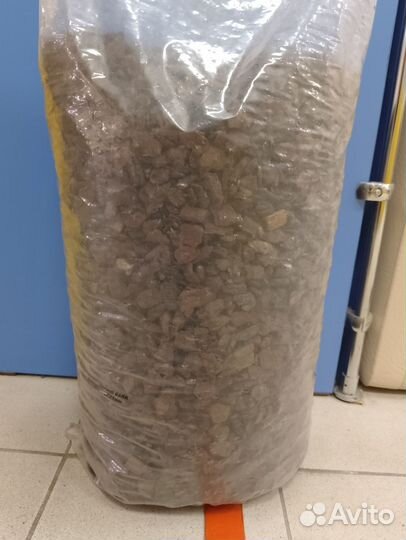 Кора сосны пинии оптом