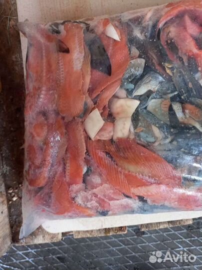 Корм для собак, рубец,ливер,обрезь