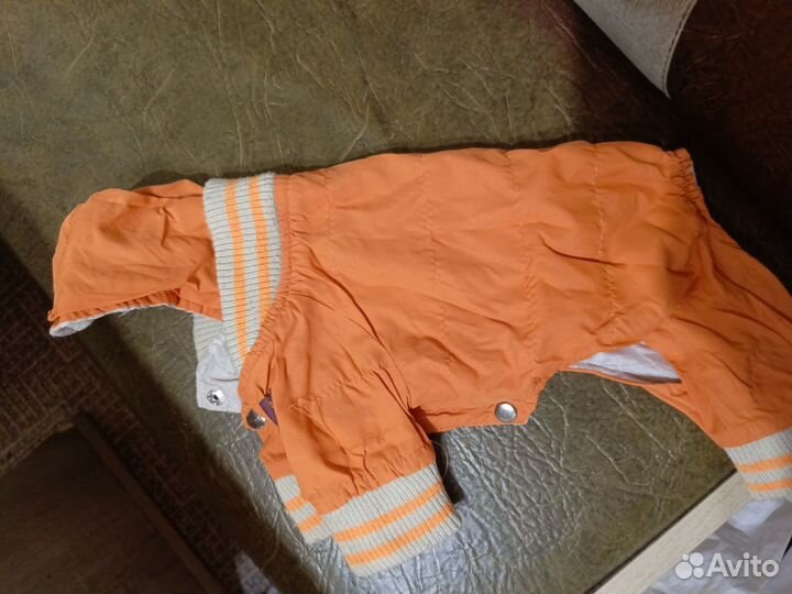 Одежда для собак