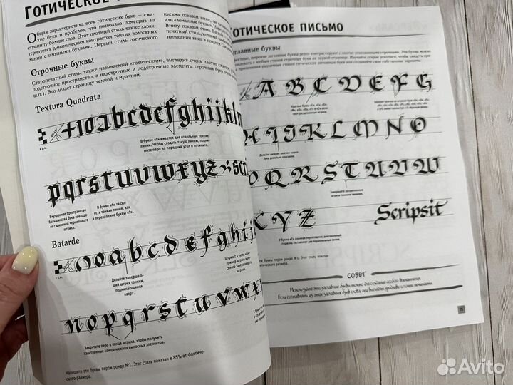 Книга + прописи по каллиграфии