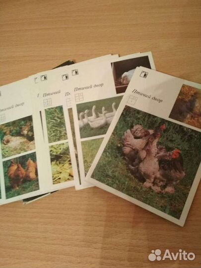 Каталог и пособие. Обмен