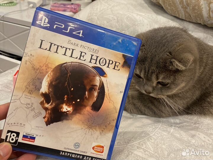 Little hope ps4