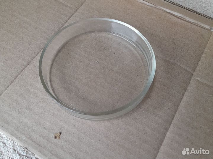 Чашка петри