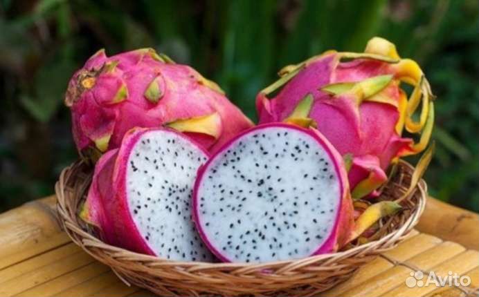 Тропические, комнатные и др.Растения