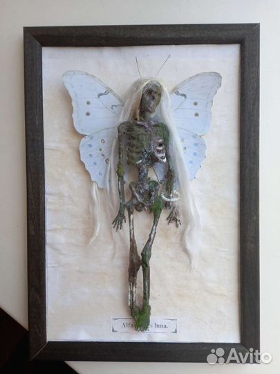 Таксидермия мертвая фея в рамке
