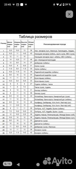 Намордник fordogtrainers