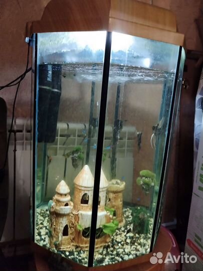Аквариум
