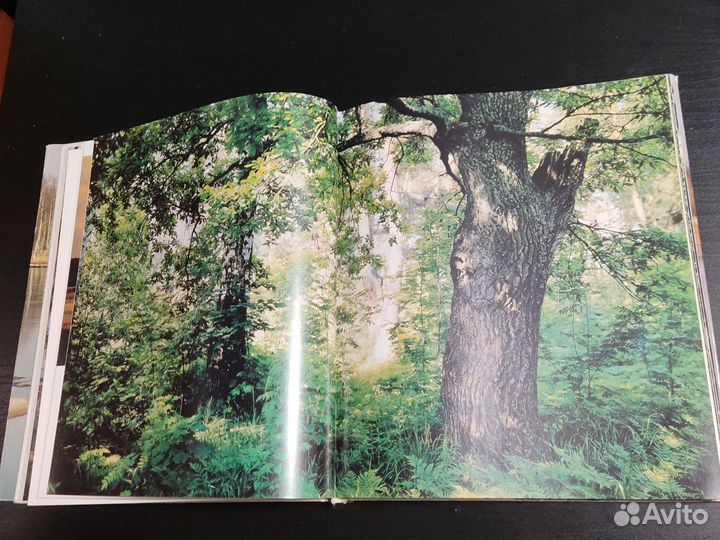 Заповедная Мещера