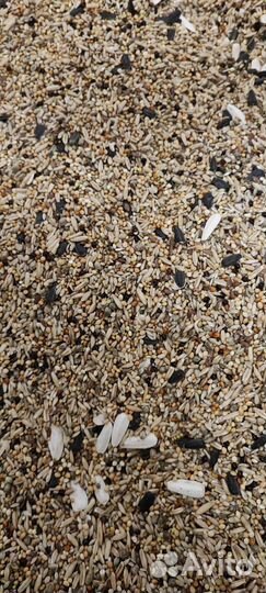 Корм для попугаев