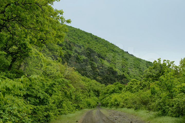 Участок 7,2 сот. (СНТ, ДНП)