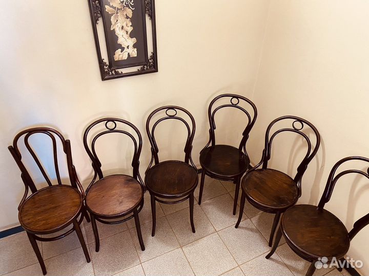 Венские стулья Тонет царского времени